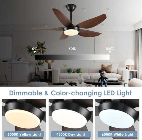 Modern Ceiling Fan with Light 43 Inch