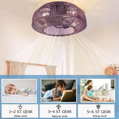 Cage ceiling fan with light
