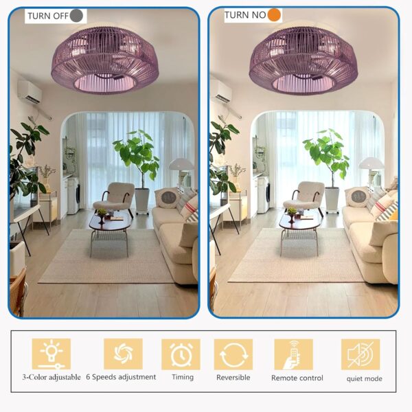 Cage ceiling fan with light