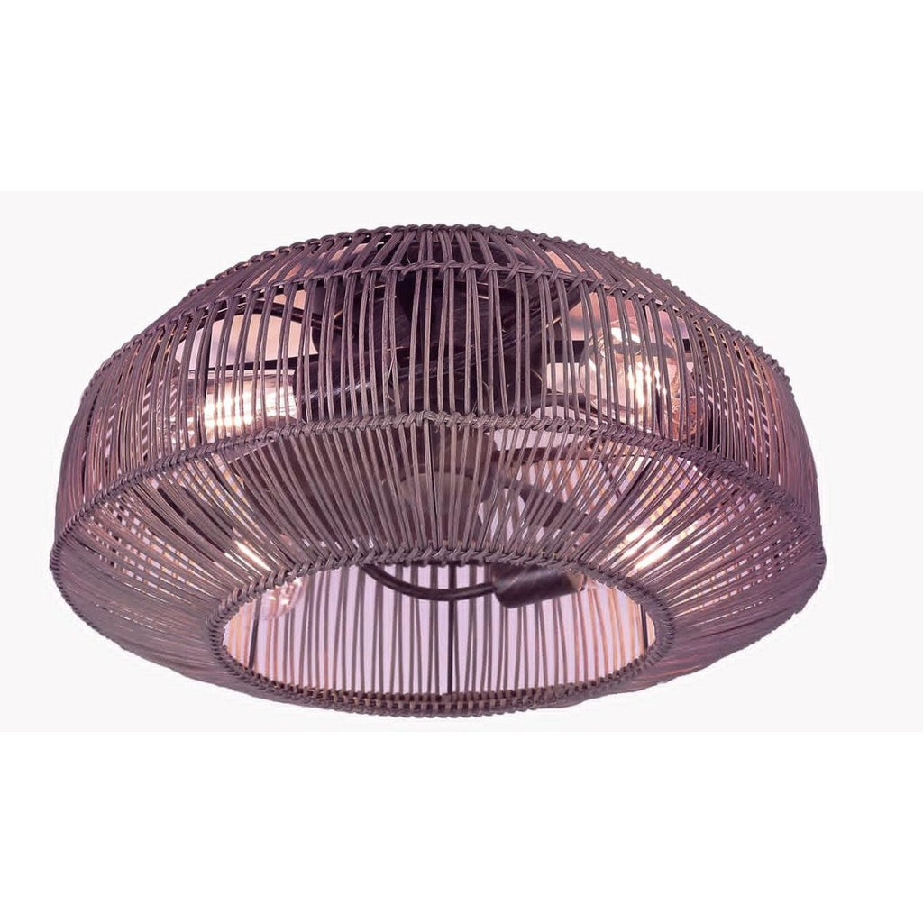 Cage ceiling fan with light