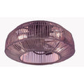 Cage ceiling fan with light