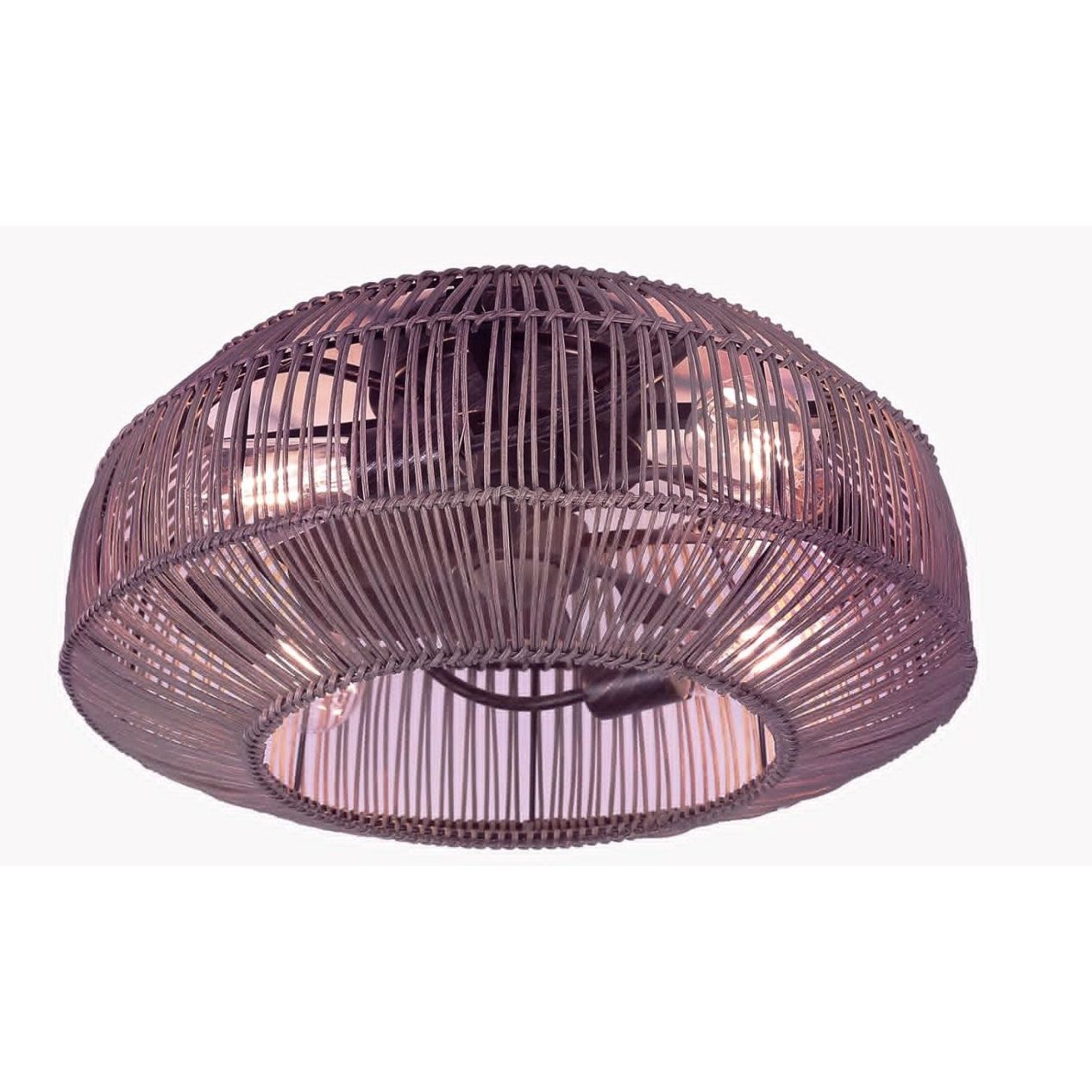 Cage ceiling fan with light